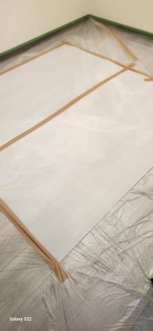 你為什麼不問問神奇海螺呢 - 新竹市，社區：金雅昕觀邸，施工前防護