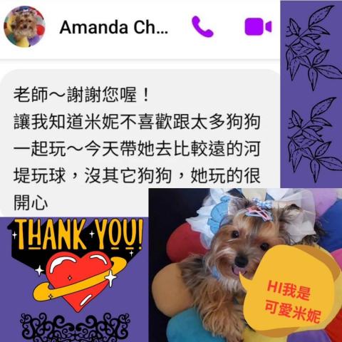 CathyKuo(凱西) - 和毛孩溝通後，飼主更了解如何和自家毛孩相處互動