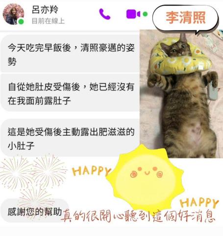 CathyKuo(凱西) - 和毛孩溝通後，放鬆不少，不再緊張