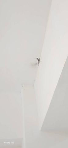 你為什麼不問問神奇海螺呢 - 新竹市，社區：金雅昕觀邸，陽台防水漆+批土3道+全室局部批土，施工中