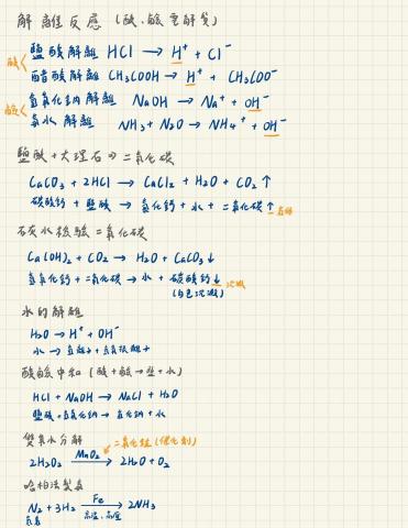 袁音 - 重點整理