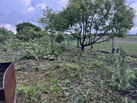 振舜園藝 - 施工後