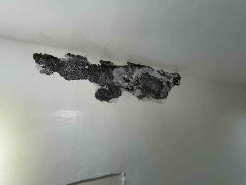 小豪修繕工作室 - 壁癌處理前