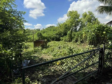 振舜園藝 - 施工中