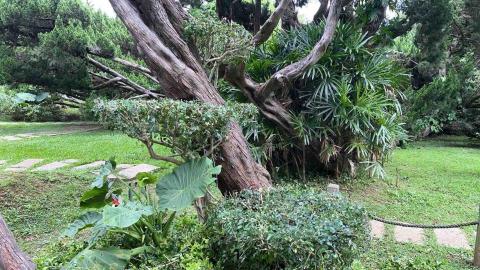 蝸牛園藝社 -  蝸牛園藝社 -