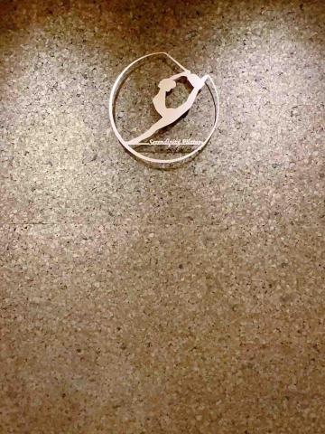 楊博澄 - Logo 形象牆 不鏽鋼單片雷切浮腳字 