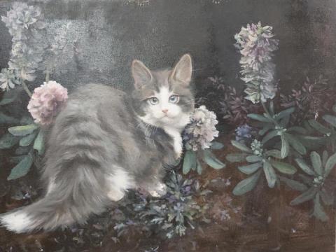 陳韋童 - 油畫  貓