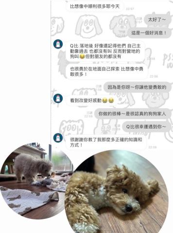 咪塔屋娜的生活日記－IDTE犬隻訓練師Tyra（新竹地區） - 