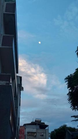 提供舞會禮服服務的專家游閔瀚