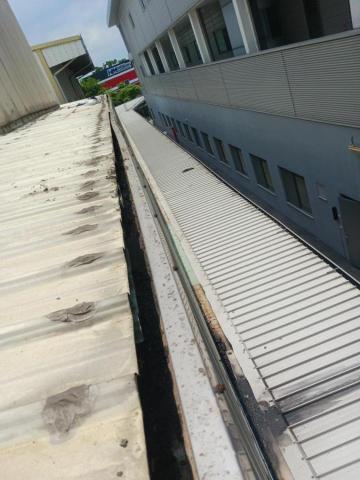 阿興（泥作#油漆#拆除） - 