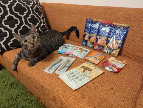 呂柏凱 [寵物寄宿/保姆/中途/專車接送］ - 