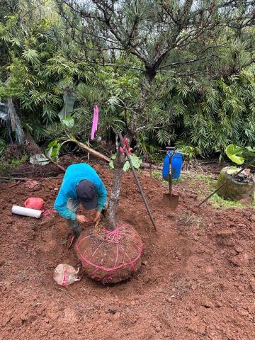 保嘉環衛生活管理顧問有限公司 - 