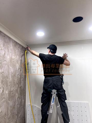 傑出專業除蟲工作室-專業除白蟻服務 - 專業素養一流，始終秉持一絲不苟的工作態度。我們認真仔細地進行每一次除白蟻施作，確保每一位選擇我們的客戶都能得到最安心的保障。歡迎來電。#專除白蟻