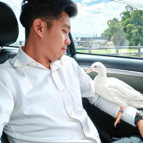 呂柏凱 [寵物寄宿/保姆/中途/專車接送］ - 