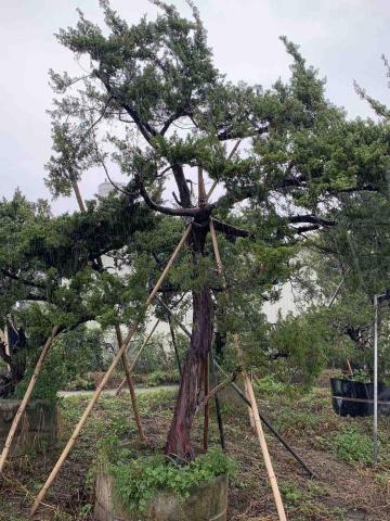 保嘉環衛生活管理顧問有限公司 - 