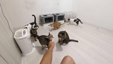 呂柏凱 [寵物寄宿/保姆/中途/專車接送］ - 