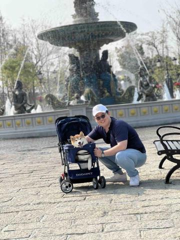 提供寵物旅館台中服務的專家黃阿嘎