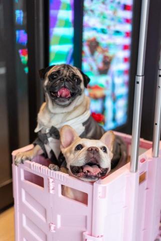 提供新竹外牆清洗公司服務的專家阿典洗家匠