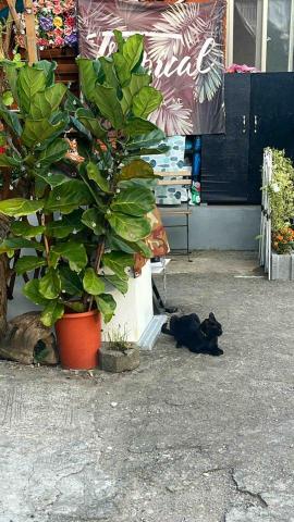 悠優好活 - 二哥，6歲嚕嚕。