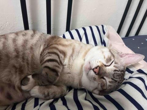 悠優好活 - 大寶貝，16歲咪咪。