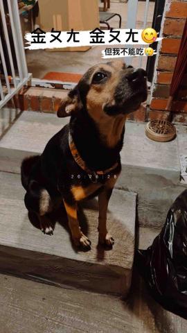 悠優好活 - 三妹，米克斯-娜娜。