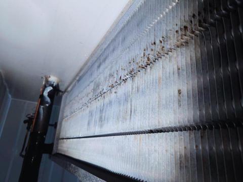 小正職人專業冷氣清洗 - 冷藏冰箱清洗後