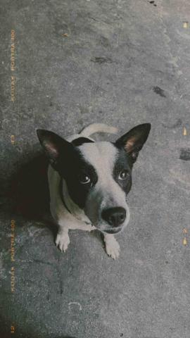 悠優好活 - Lucky