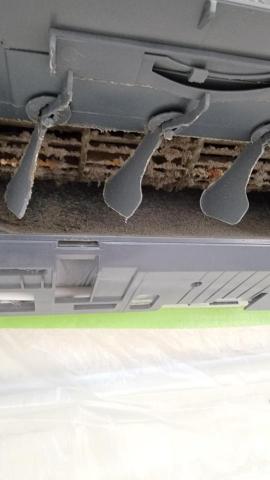 安家洗淨-小蔡 - 