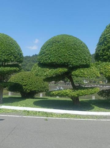 園藝相關業務 - 