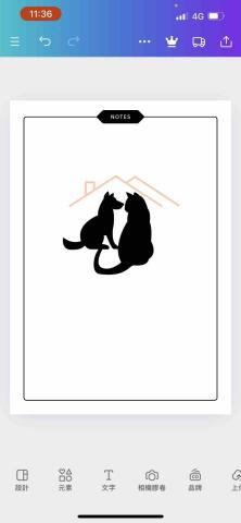 提供養貓咪服務的專家貓狗的家