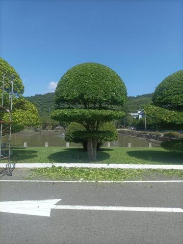 園藝相關業務 - 