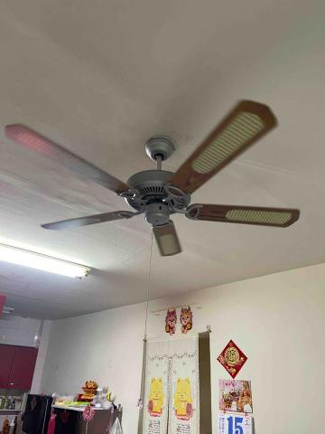 和方企業行 - 客廳吊扇