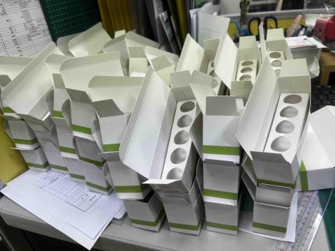 林莉雅 - 紙盒作品後