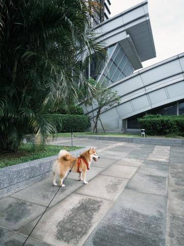 鄭梓康 - 長期配合之客戶charlie