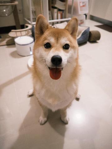 鄭梓康 - 長期配合之客戶charlie