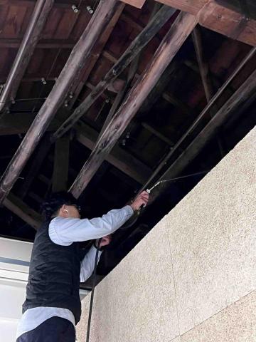 傑出專業除蟲工作室-專業除白蟻服務 - 台大校園古蹟建築白蟻防治