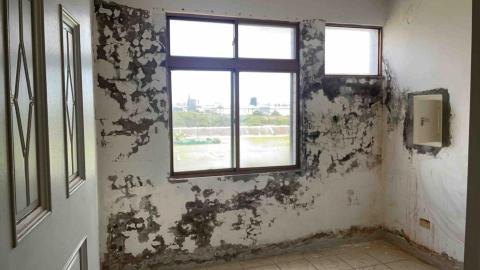 楊上葦 - 我一個人可以完成✅但是要給我時間。做緣份的