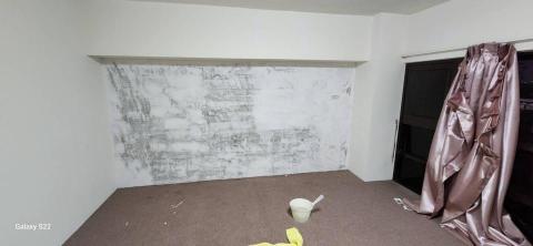 你為什麼不問問神奇海螺呢 - 苗栗縣竹南鎮，社區：La More，乳膠漆+壁紙清除+清運+局部批土，施工中