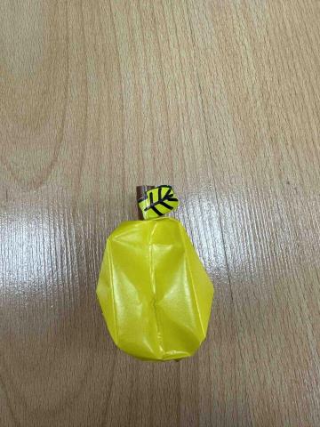 洪語謙 - 摺紙教學-幼兒作品