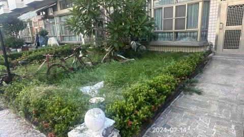 陳柏安 - 7/14 蘇大哥 前