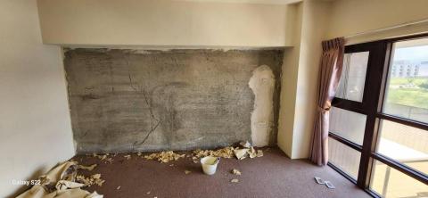 你為什麼不問問神奇海螺呢 - 