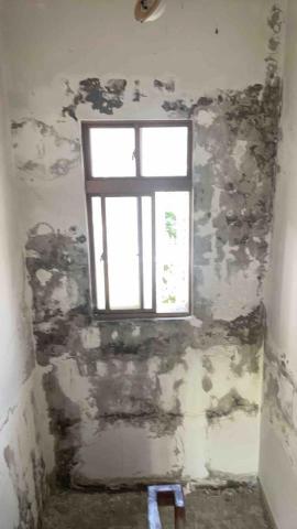 楊上葦 - 我一個人可以完成✅但是要給我時間。做緣份的