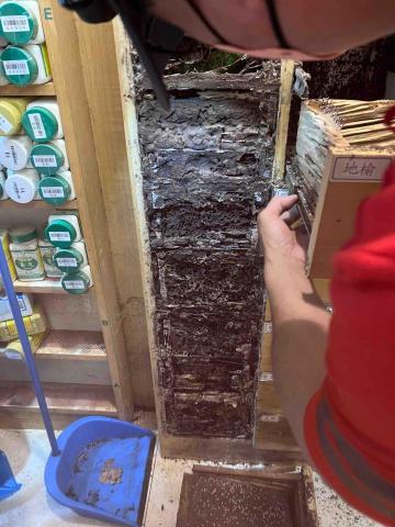 傑出專業除蟲工作室-專業除白蟻服務 - 中醫診所藥櫃白蟻巢