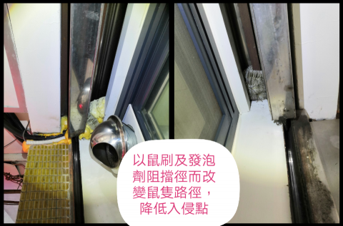 安能除蟲 - 判斷正確路徑使用合適防堵材料