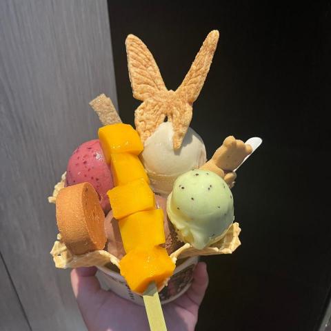 提供打字排版服務的專家許芳敏