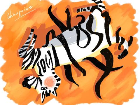 Brita - 熱熱斑馬