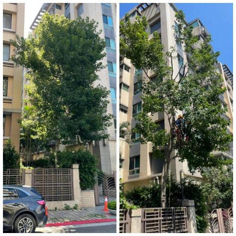 黃先生 - 業主委託案件