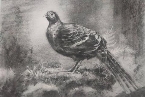 詹于萱 - 素描作品