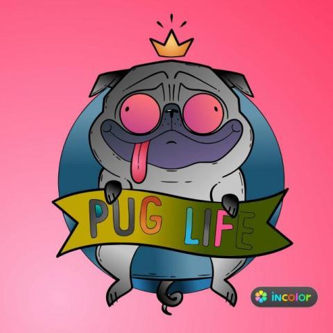 提供120服務的專家安固油漆藝術漆