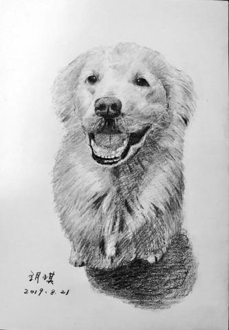 顏玥琪 - 鉛筆素描作品